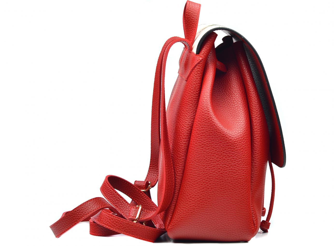 Backpack CAN2607