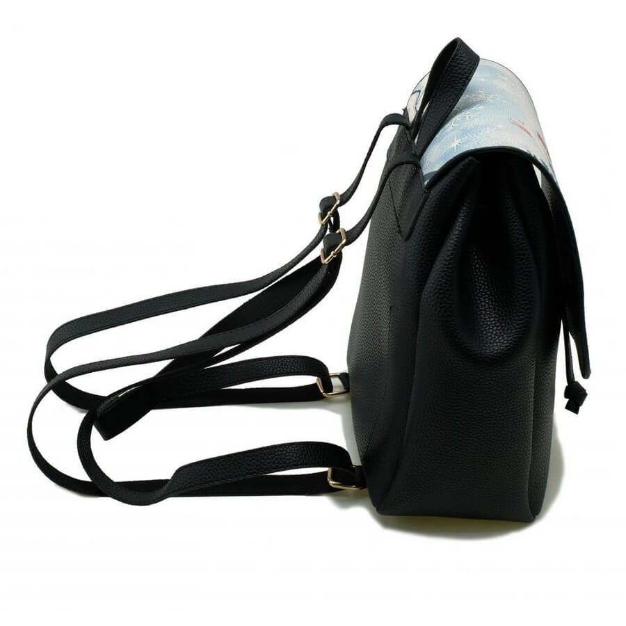 Backpack CAN2611